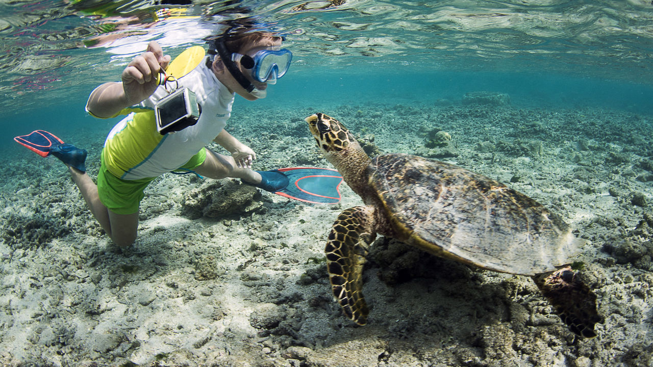 La Réunion bezienswaardigheden | excursies en activiteiten | Matoke Tours