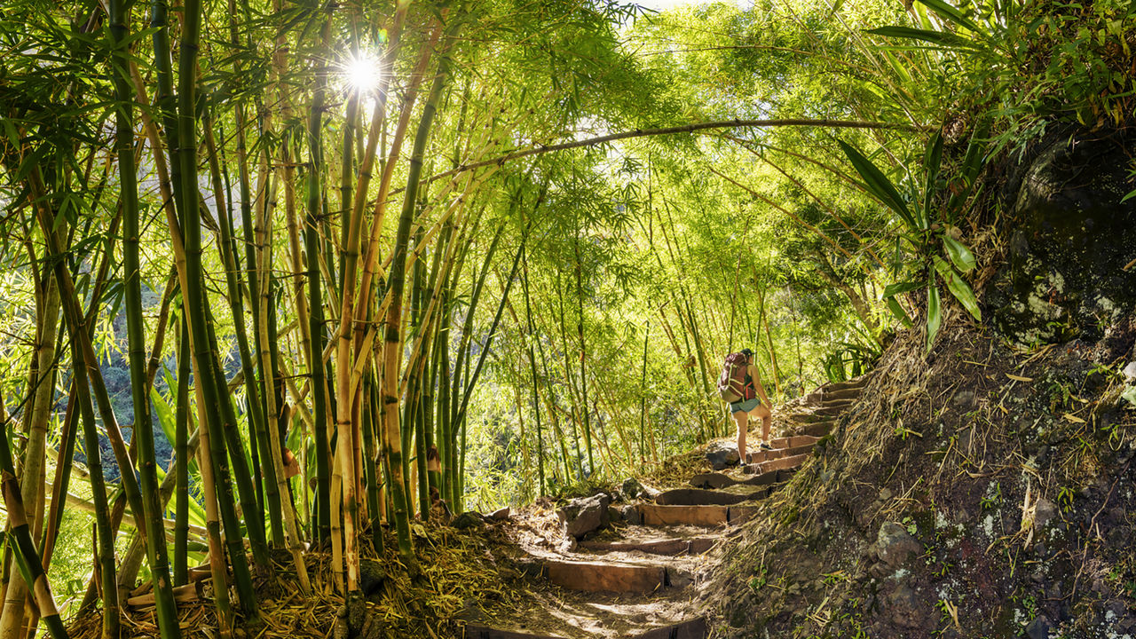 Actieve rondreis door Reunion - wandelreis en hiken Reunion