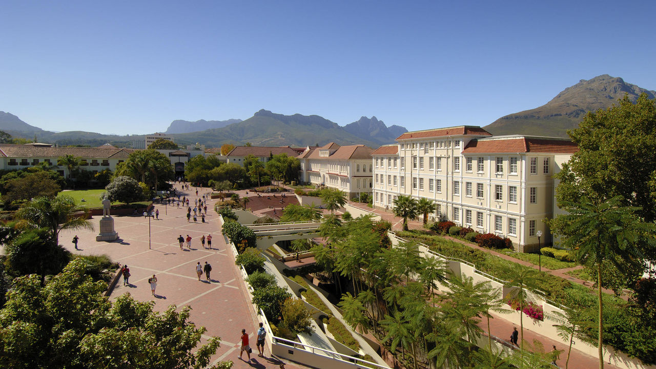 Stellenbosch - het wijnbouwcentrum van Zuid-Afrika | Matoke Tours