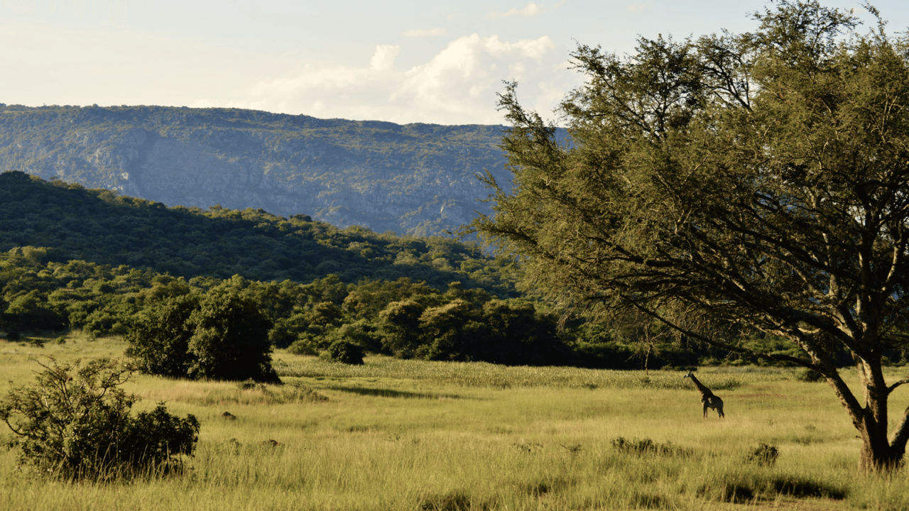 Soutpansberg - Leshiba - Zuid-Afrika - Matoke Tours