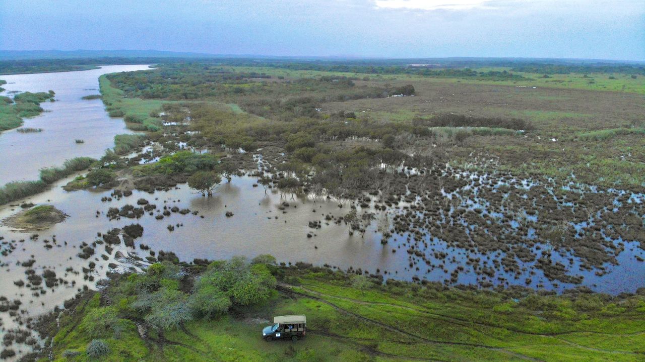 Hoe kies je de beste rondreis door Zuid-Afrika? | Matoke Tours