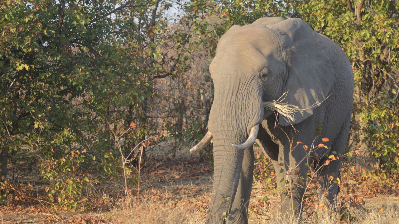 Waterberg - Nationaal Park - Zuid-Afrika - Matoke Tours