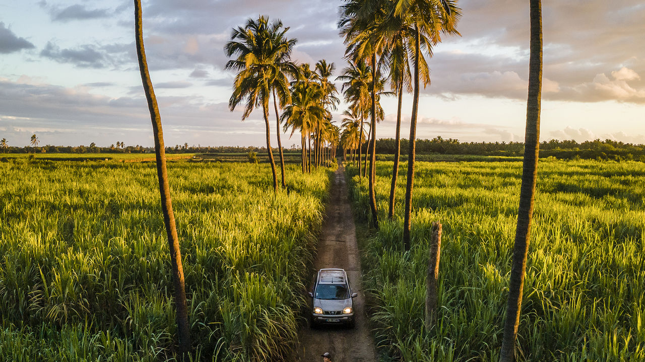 Vakantie La Reunion | Rondreis en reizen naar La Reunion | Matoke Tours