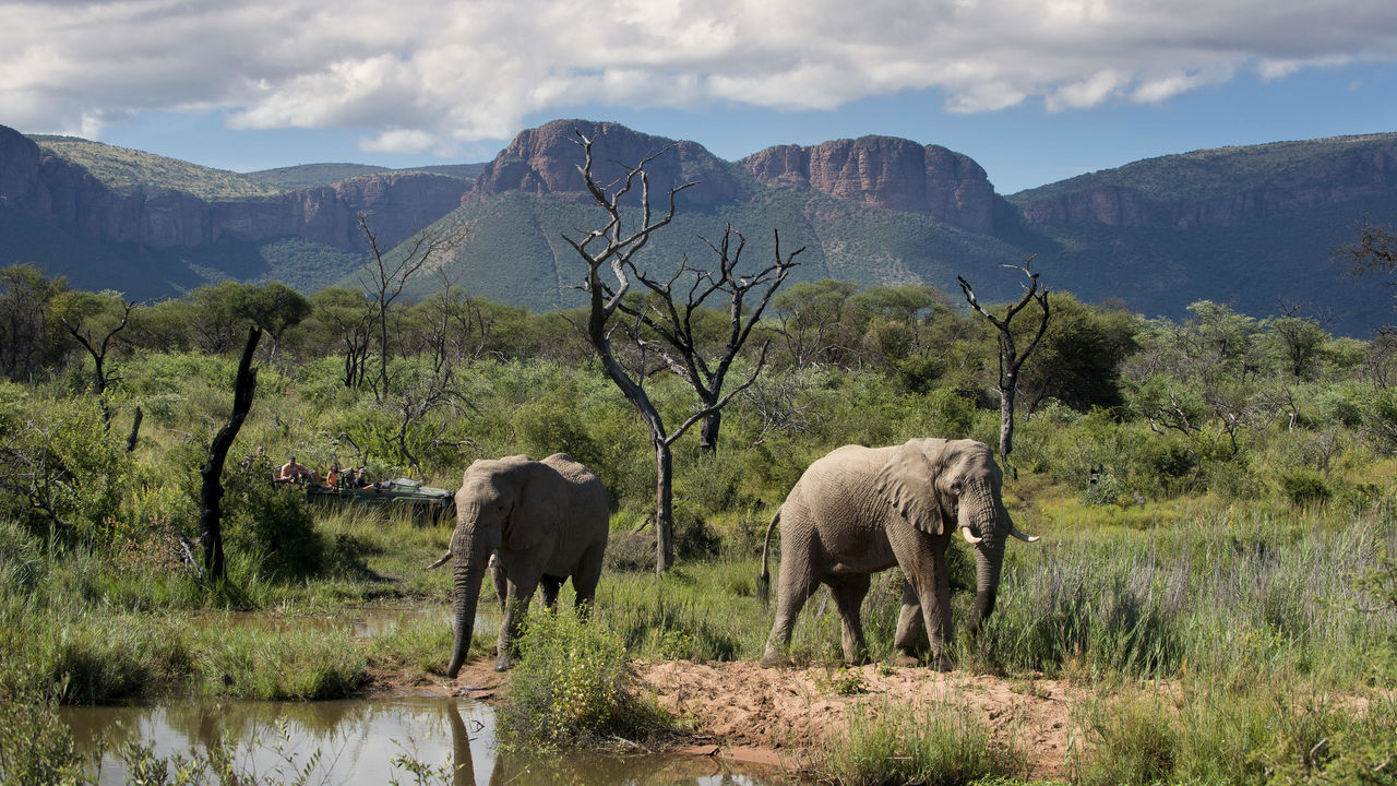 Zuid Afrika Mozambique reis | 16 dagen | Combineer Safari met strand