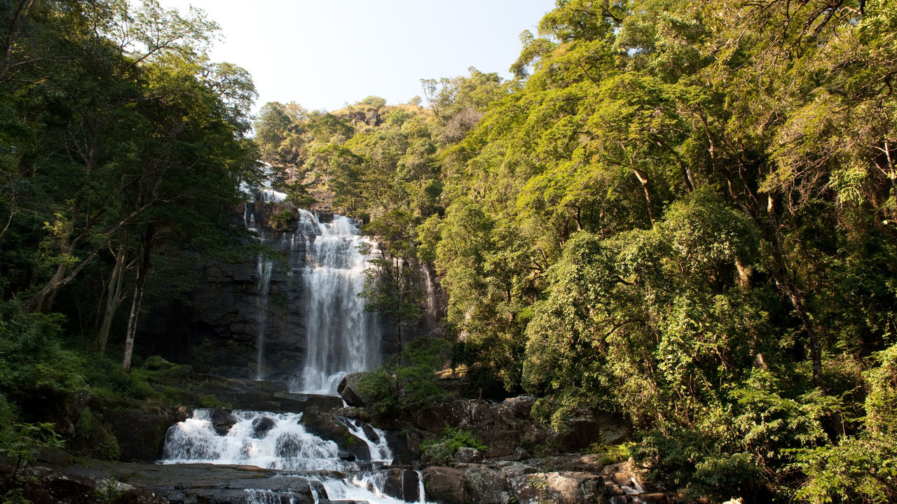 Gorongosa National Park | Safari in Mozambique | Matoke Tours