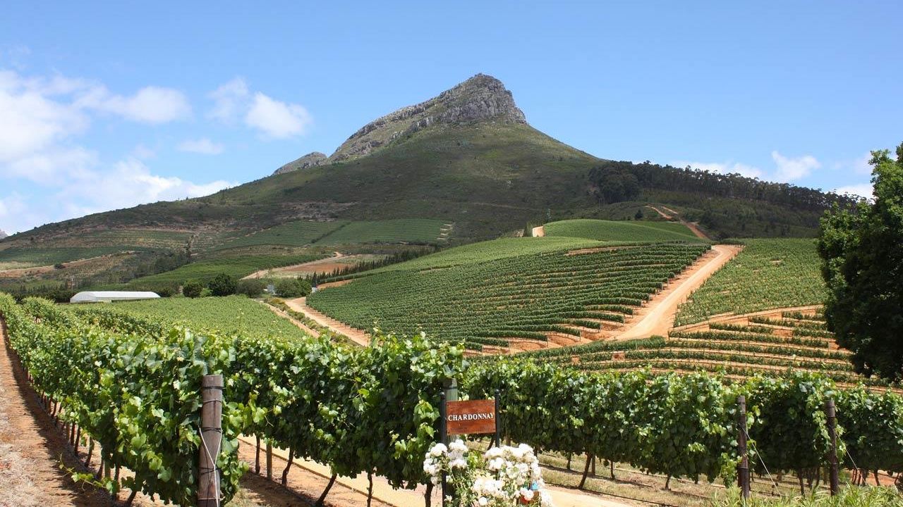 Kaapse Wijnlanden - Cape Winelands - Zuid-Afrika - Matoke Tours