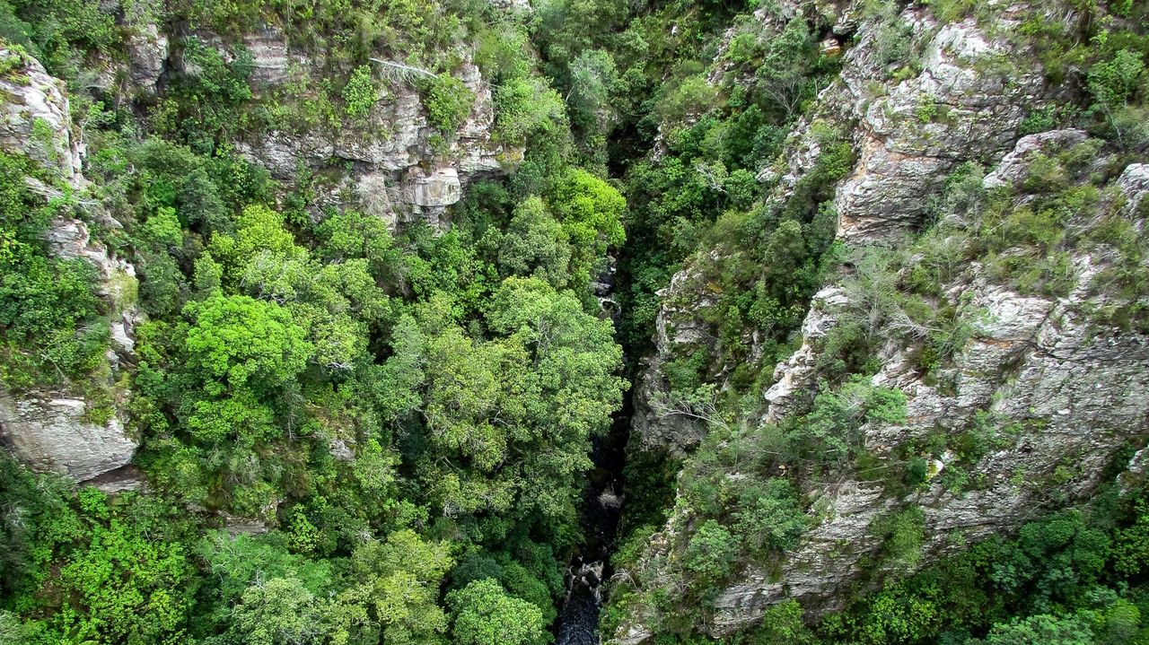 Knysna - de parel van de Tuinroute | Matoke Tours